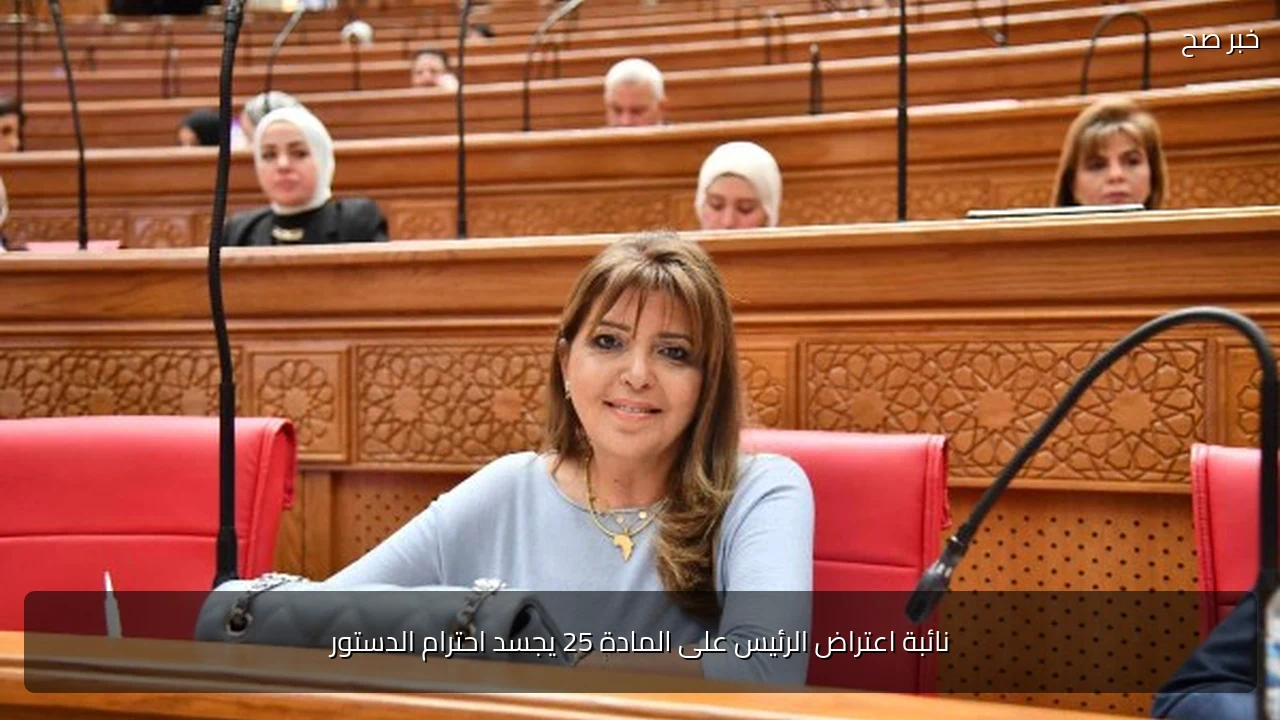 نائبة اعتراض الرئيس على المادة 25 يجسد احترام الدستور