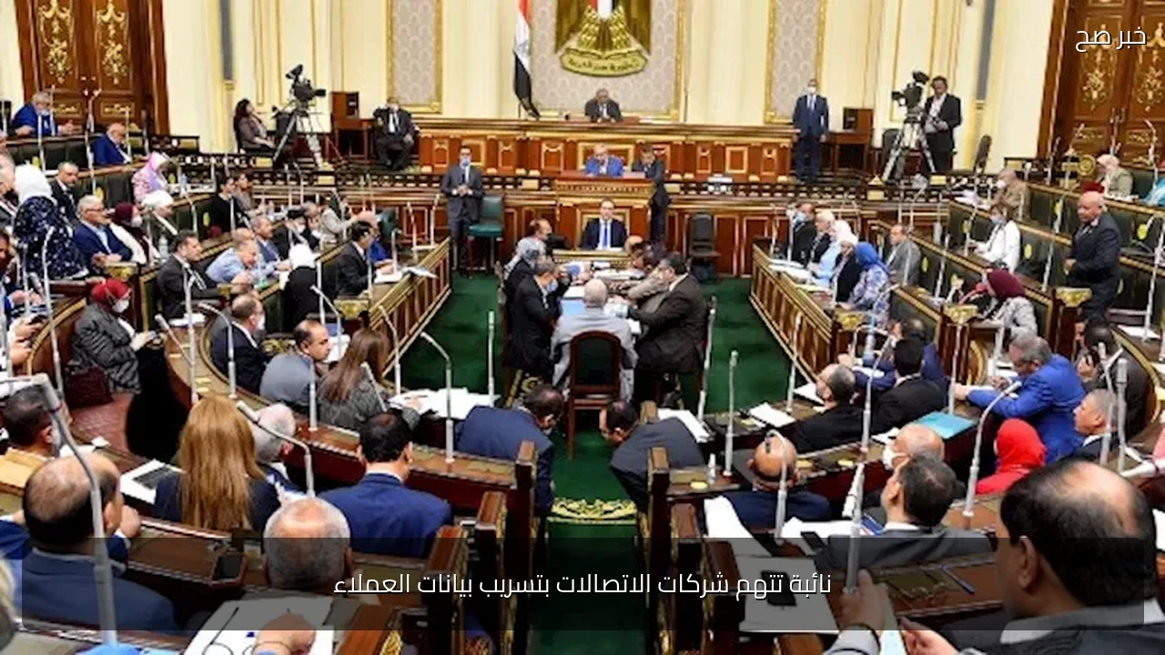 نائبة تتهم شركات الاتصالات بتسريب بيانات العملاء