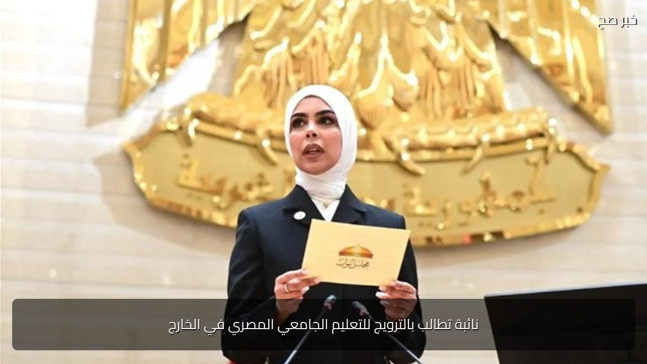نائبة تطالب بالترويج للتعليم الجامعي المصري في الخارج