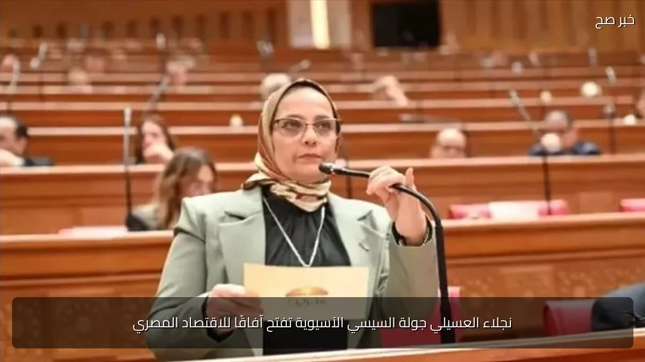 نجلاء العسيلي جولة السيسي الآسيوية تفتح آفاقًا للاقتصاد المصري