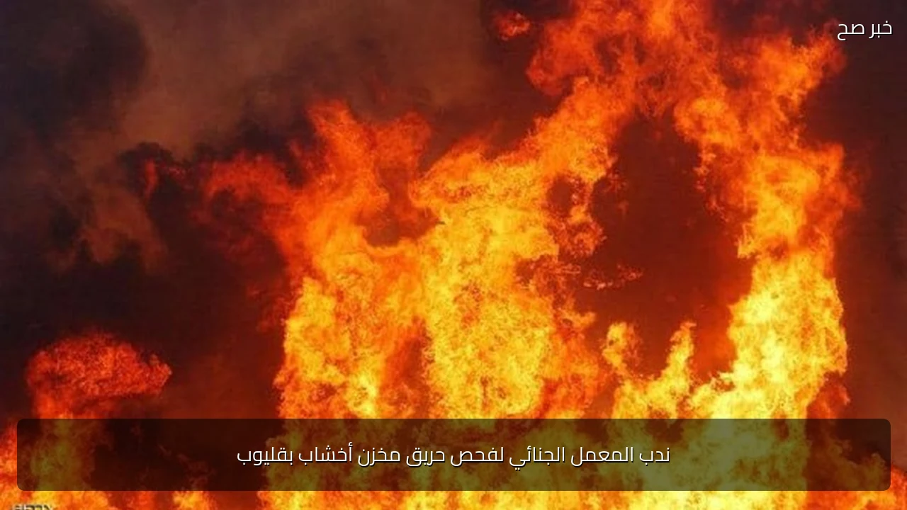 ندب المعمل الجنائي لفحص حريق مخزن أخشاب بقليوب