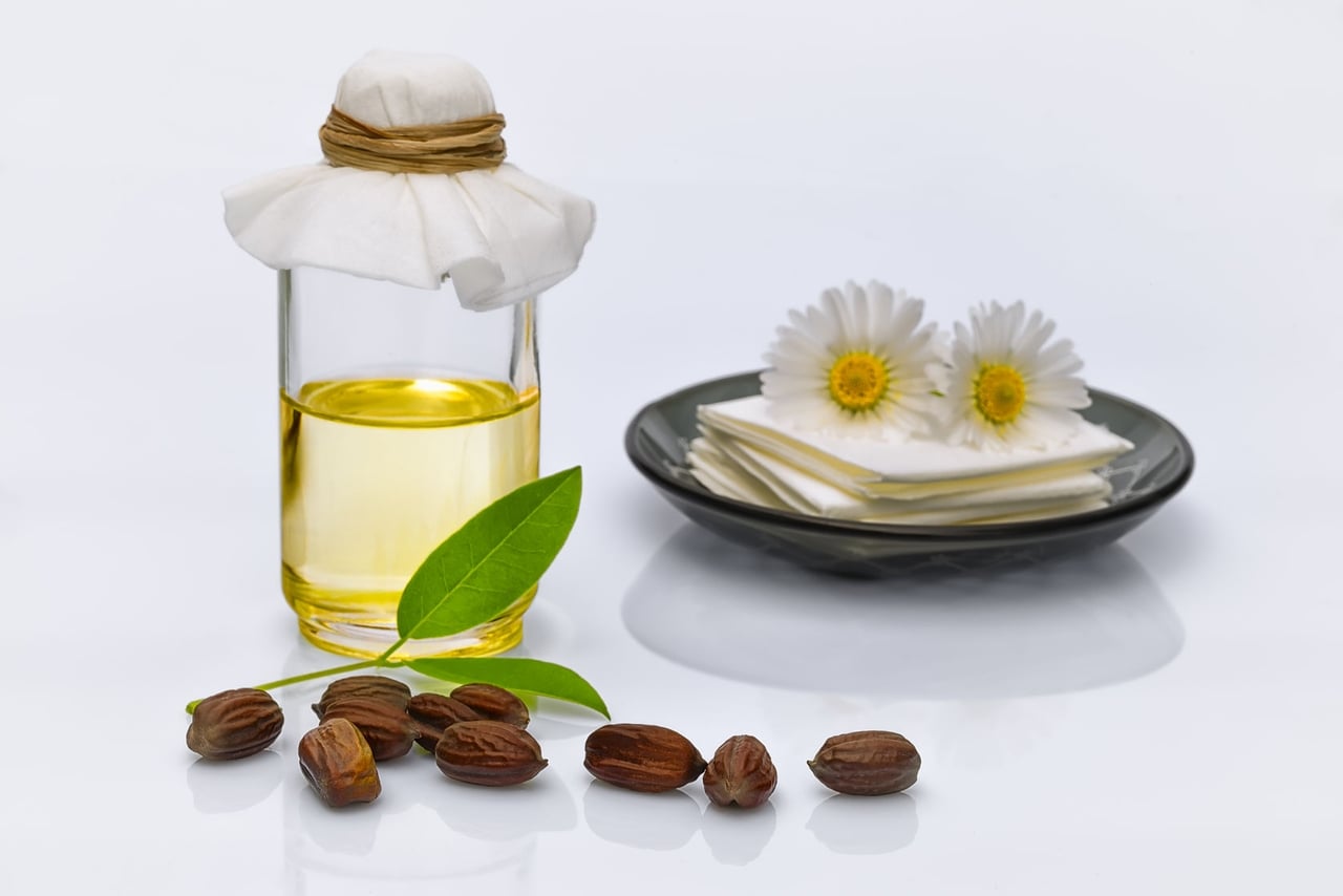 فوائد زيت الجوجوبا للبشرة والشعر وأضراره المحتملة فوائد زيت الجوجوبا