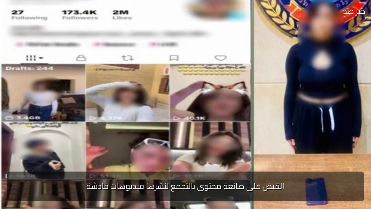 القبض على صانعة محتوى بالتجمع لنشرها فيديوهات خادشة