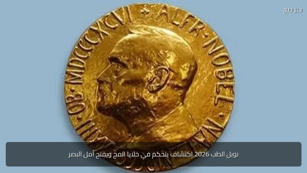 نوبل الطب 2026 اكتشاف يتحكم في خلايا المخ ويفتح أمل البصر
