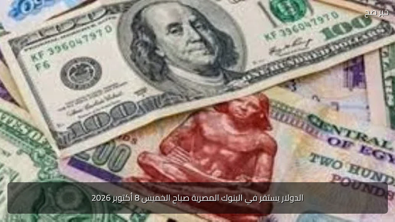 الدولار يستقر في البنوك المصرية صباح الخميس 8 أكتوبر 2026