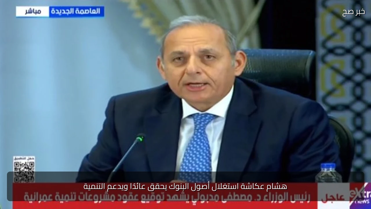 هشام عكاشة استغلال أصول البنوك يحقق عائدًا ويدعم التنمية