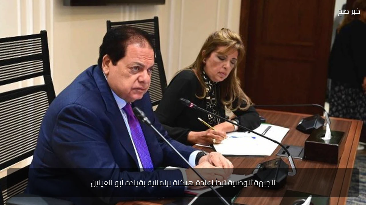الجبهة الوطنية تبدأ إعادة هيكلة برلمانية بقيادة أبو العينين