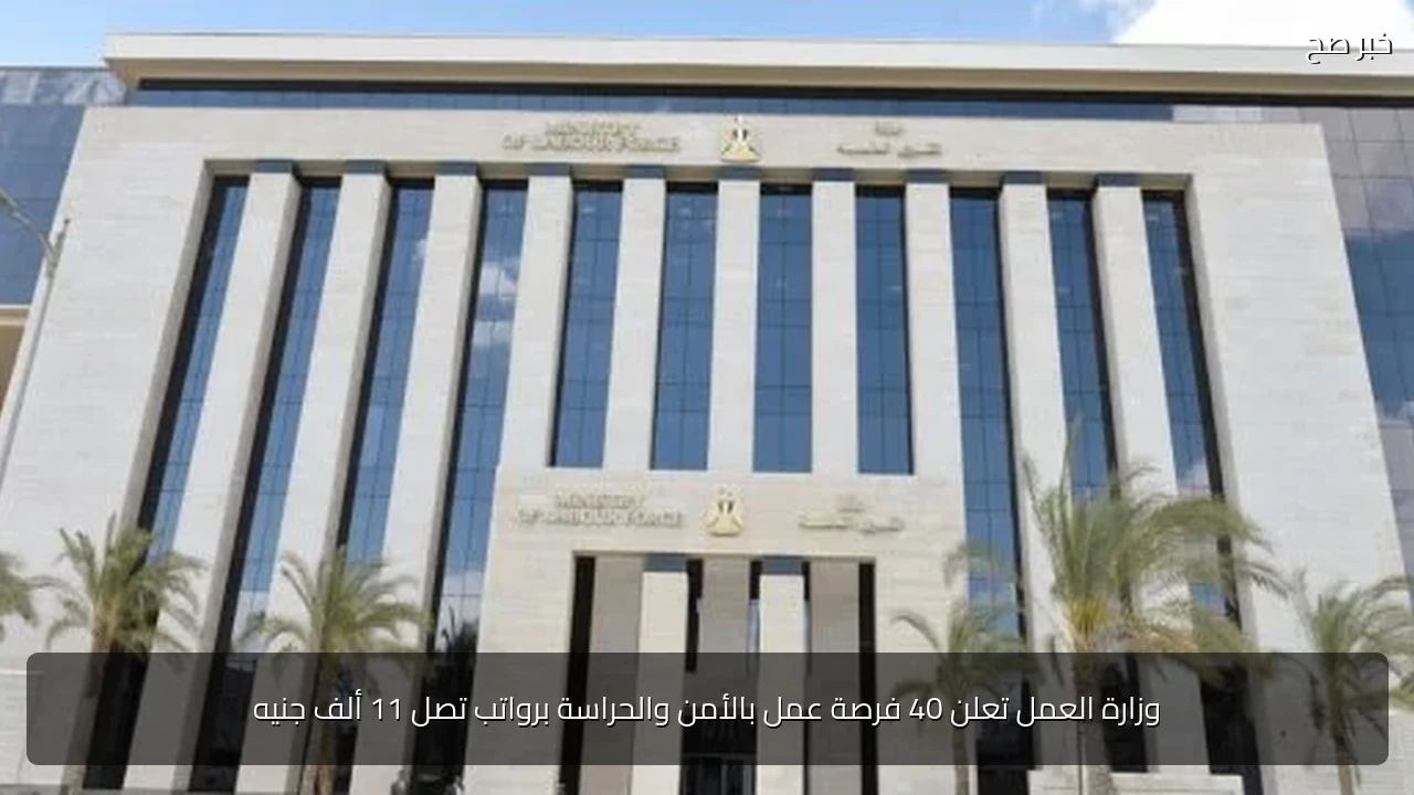 وزارة العمل تعلن 40 فرصة عمل بالأمن والحراسة برواتب تصل 11 ألف جنيه