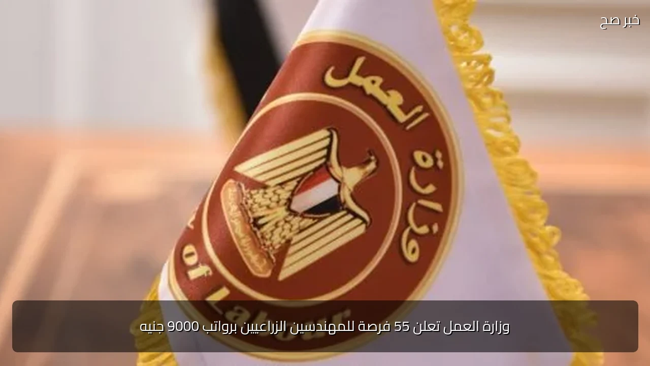 وزارة العمل تعلن 55 فرصة للمهندسين الزراعيين برواتب 9000 جنيه