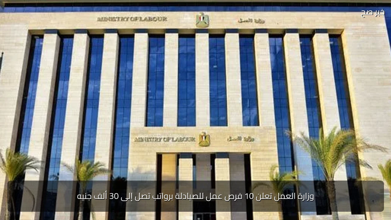 وزارة العمل تعلن 10 فرص عمل للصيادلة برواتب تصل إلى 30 ألف جنيه