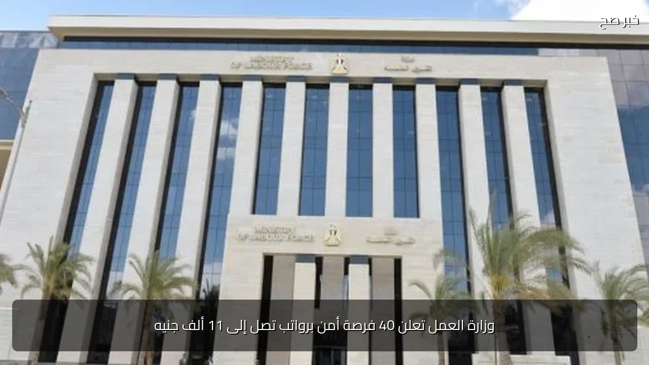 وزارة العمل تعلن 40 فرصة أمن برواتب تصل إلى 11 ألف جنيه