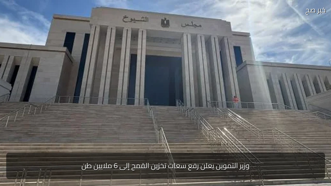 وزير التموين يعلن رفع سعات تخزين القمح إلى 6 ملايين طن