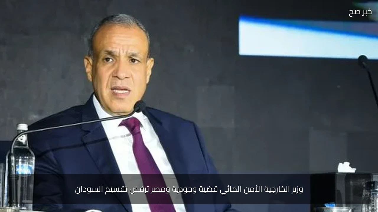 وزير الخارجية الأمن المائي قضية وجودية ومصر ترفض تقسيم السودان