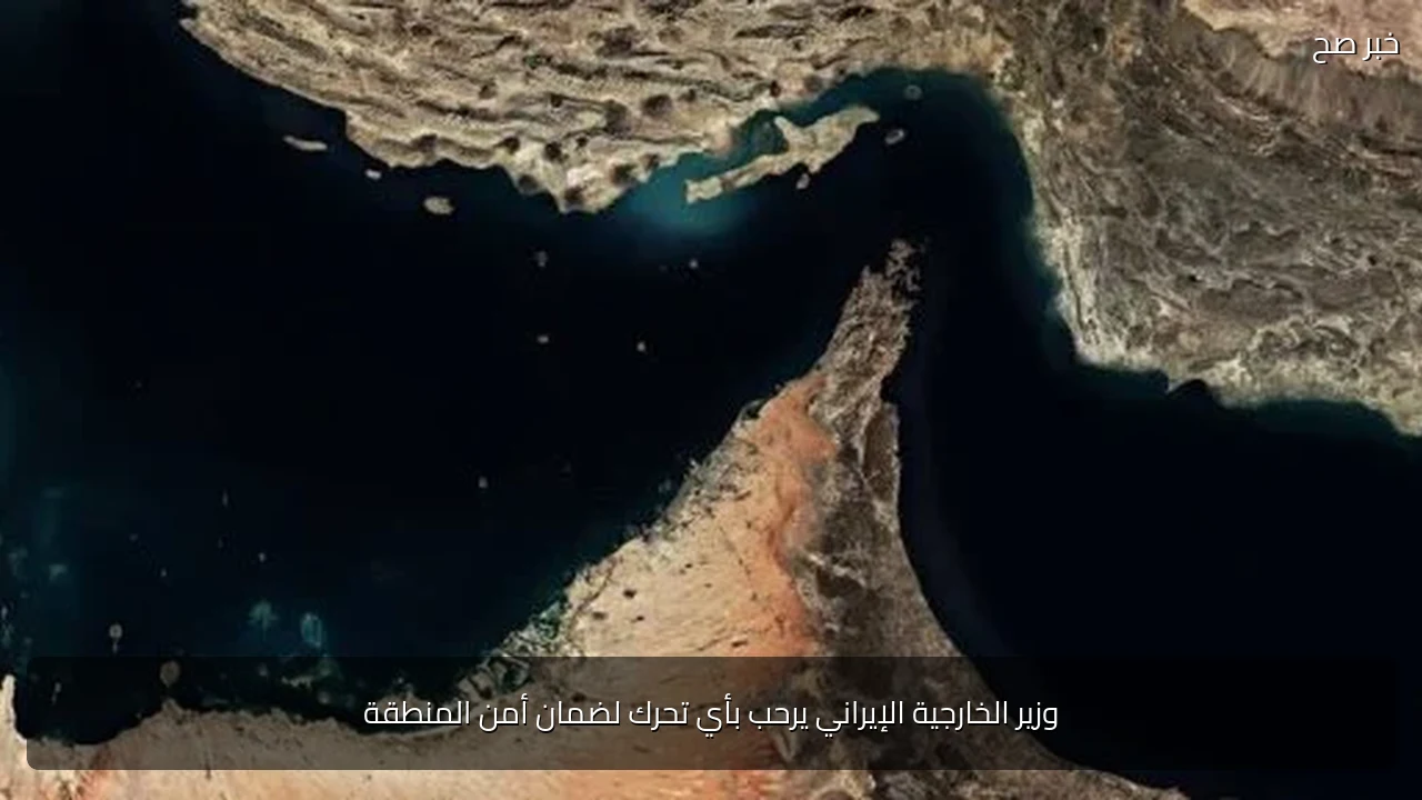 وزير الخارجية الإيراني يرحب بأي تحرك لضمان أمن المنطقة