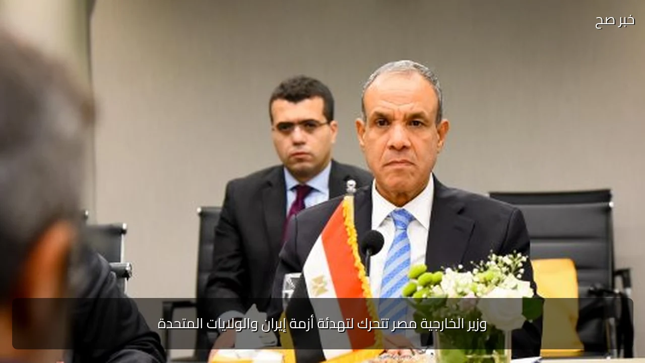 وزير الخارجية مصر تتحرك لتهدئة أزمة إيران والولايات المتحدة