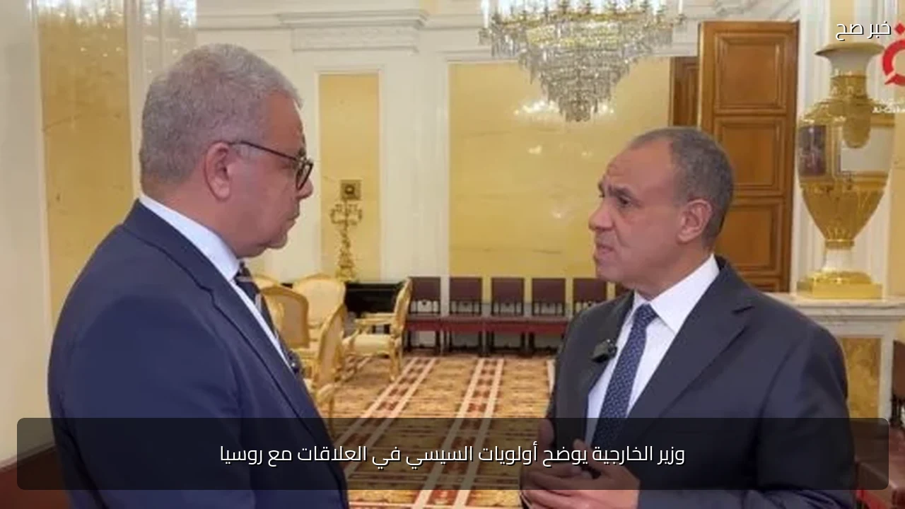 وزير الخارجية يوضح أولويات السيسي في العلاقات مع روسيا