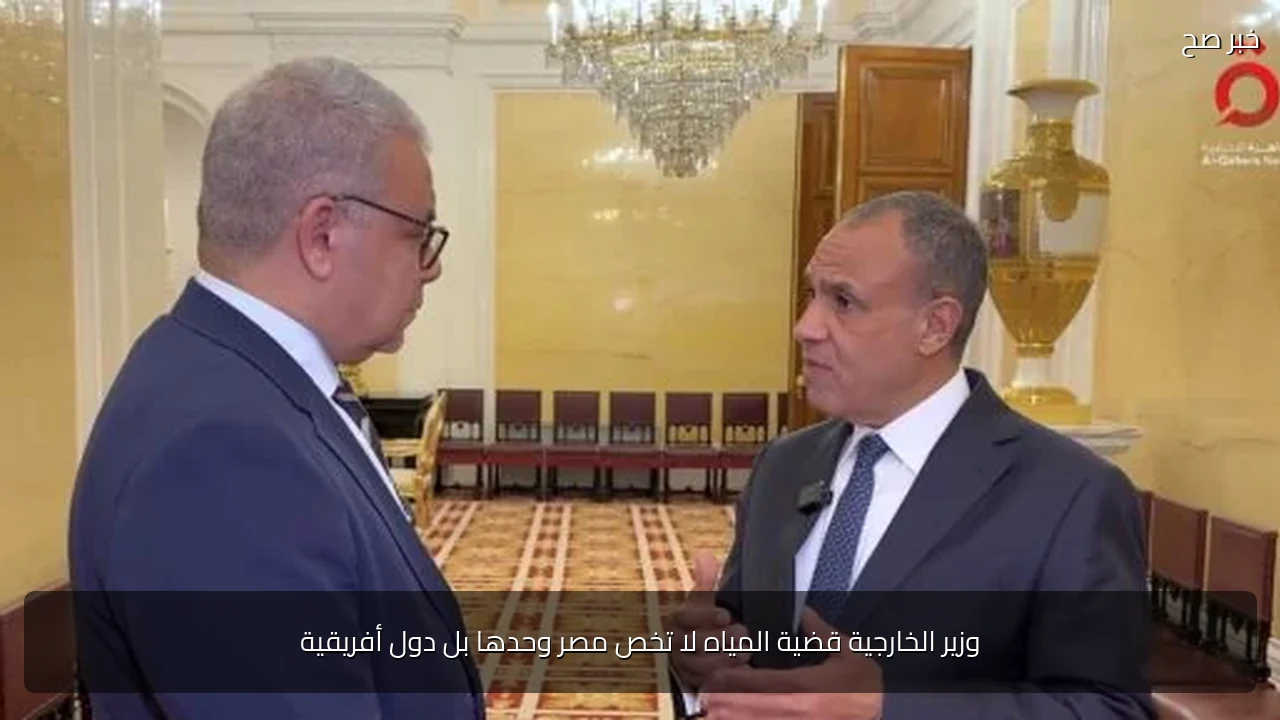 وزير الخارجية قضية المياه لا تخص مصر وحدها بل دول أفريقية