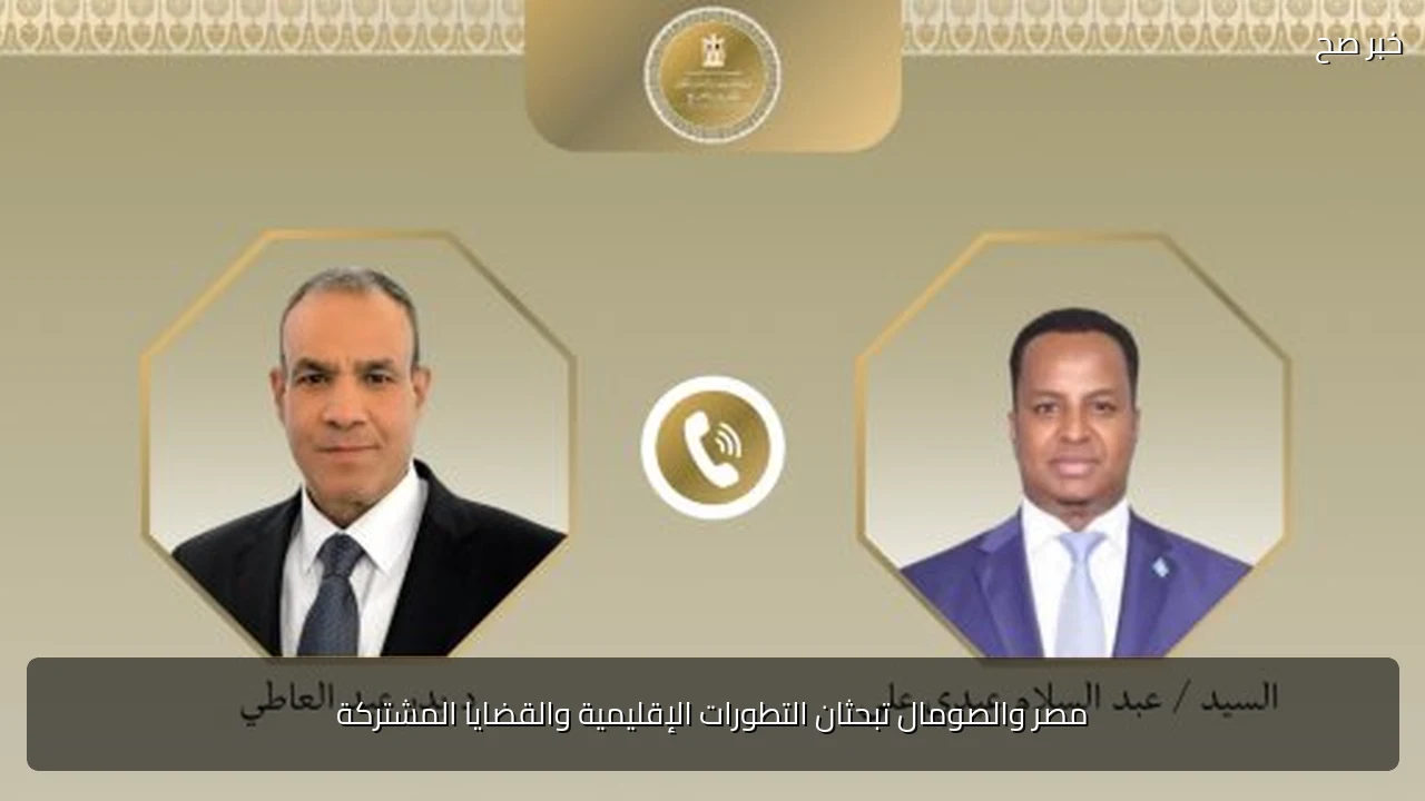 مصر والصومال تبحثان التطورات الإقليمية والقضايا المشتركة