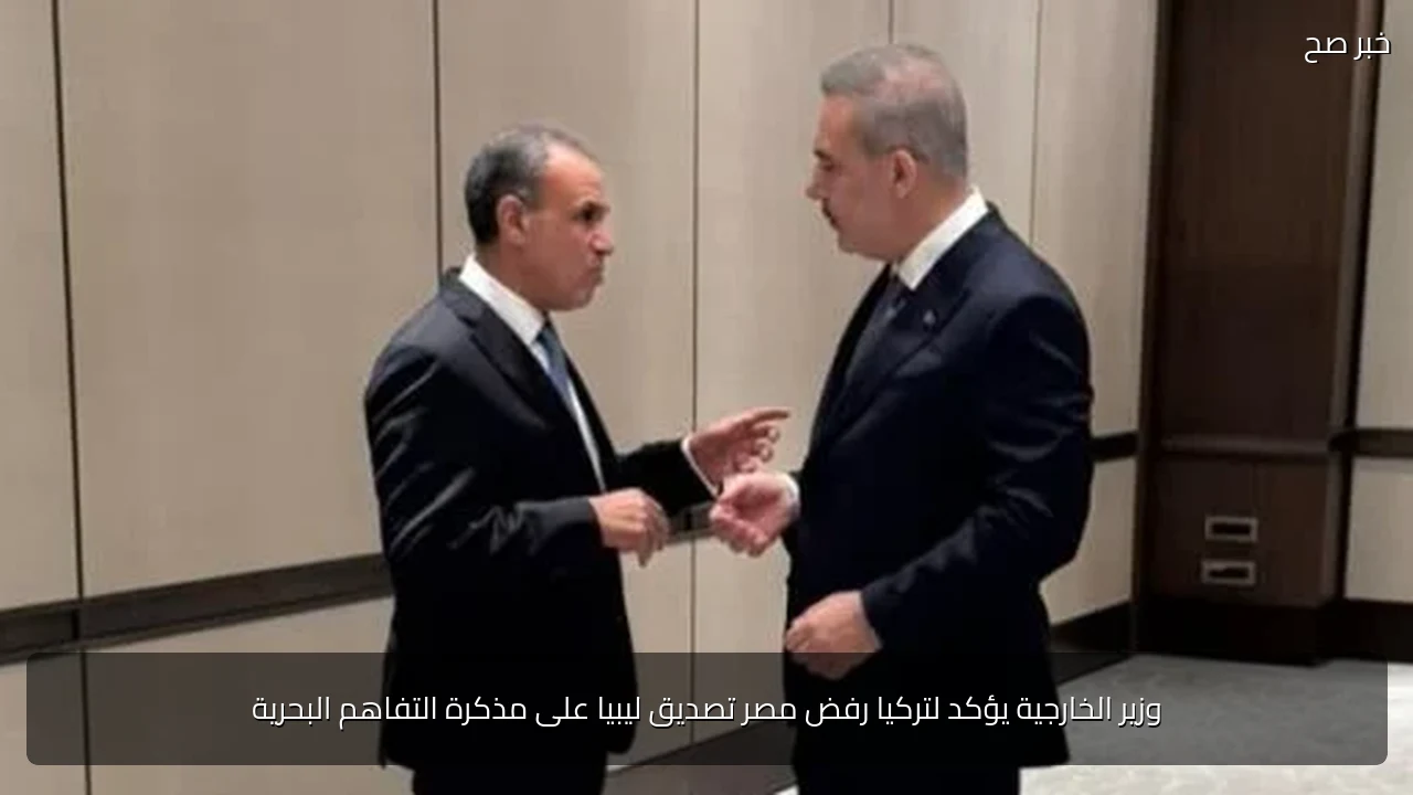 وزير الخارجية يؤكد لتركيا رفض مصر تصديق ليبيا على مذكرة التفاهم البحرية