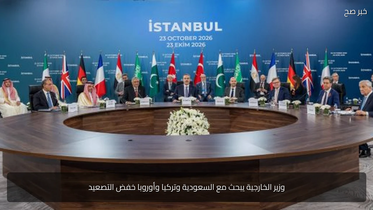 وزير الخارجية يبحث مع السعودية وتركيا وأوروبا خفض التصعيد
