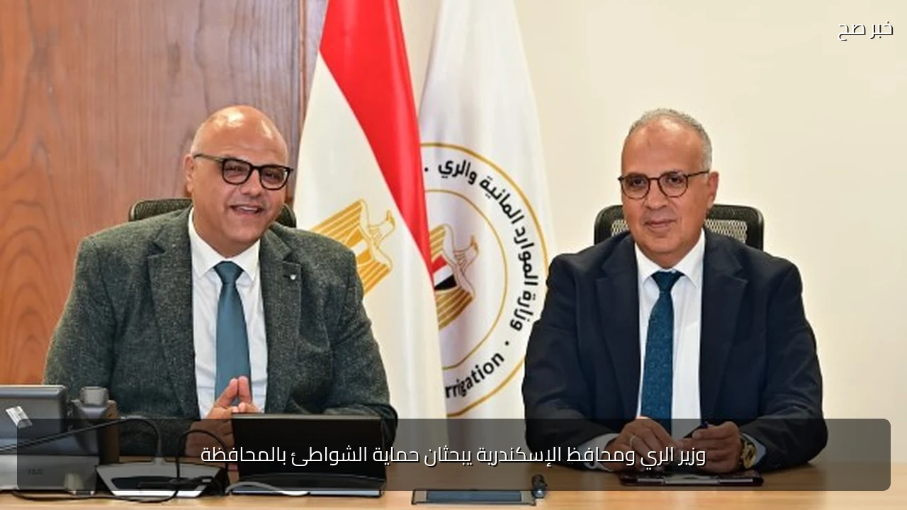 وزير الري ومحافظ الإسكندرية يبحثان حماية الشواطئ بالمحافظة