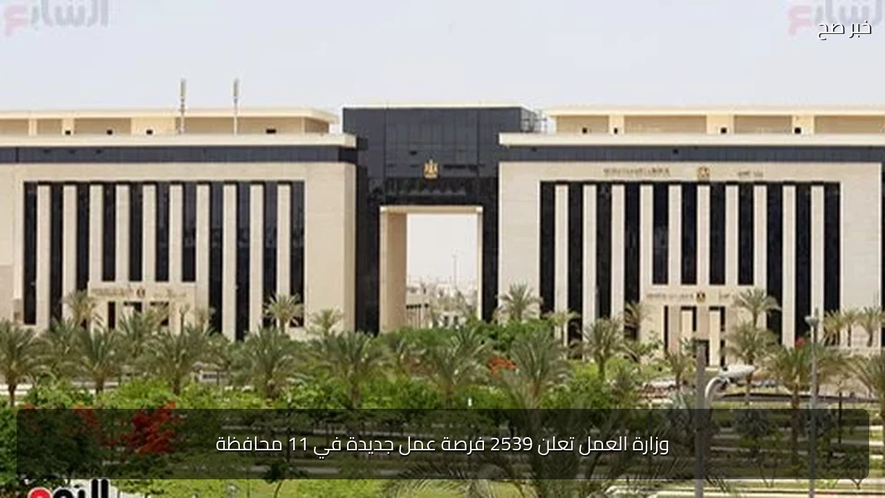 وزارة العمل تعلن 2539 فرصة عمل جديدة في 11 محافظة