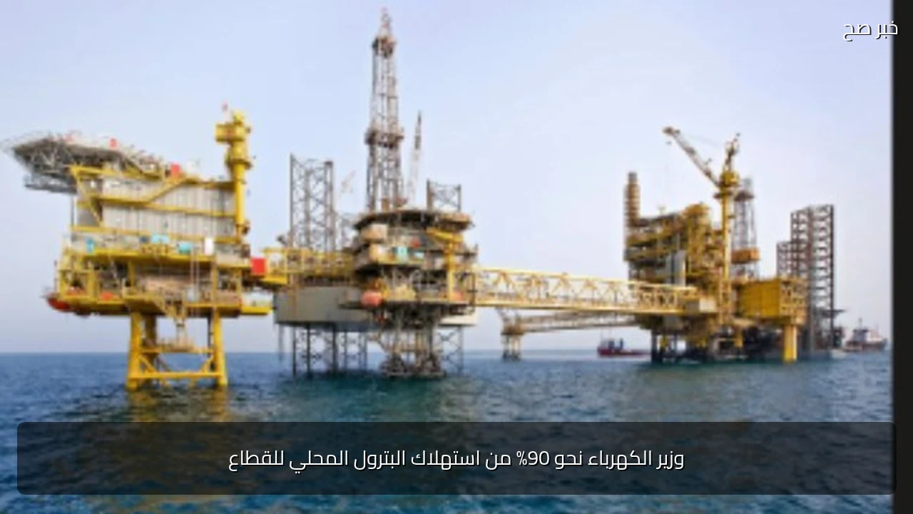 وزير الكهرباء نحو 90% من استهلاك البترول المحلي للقطاع