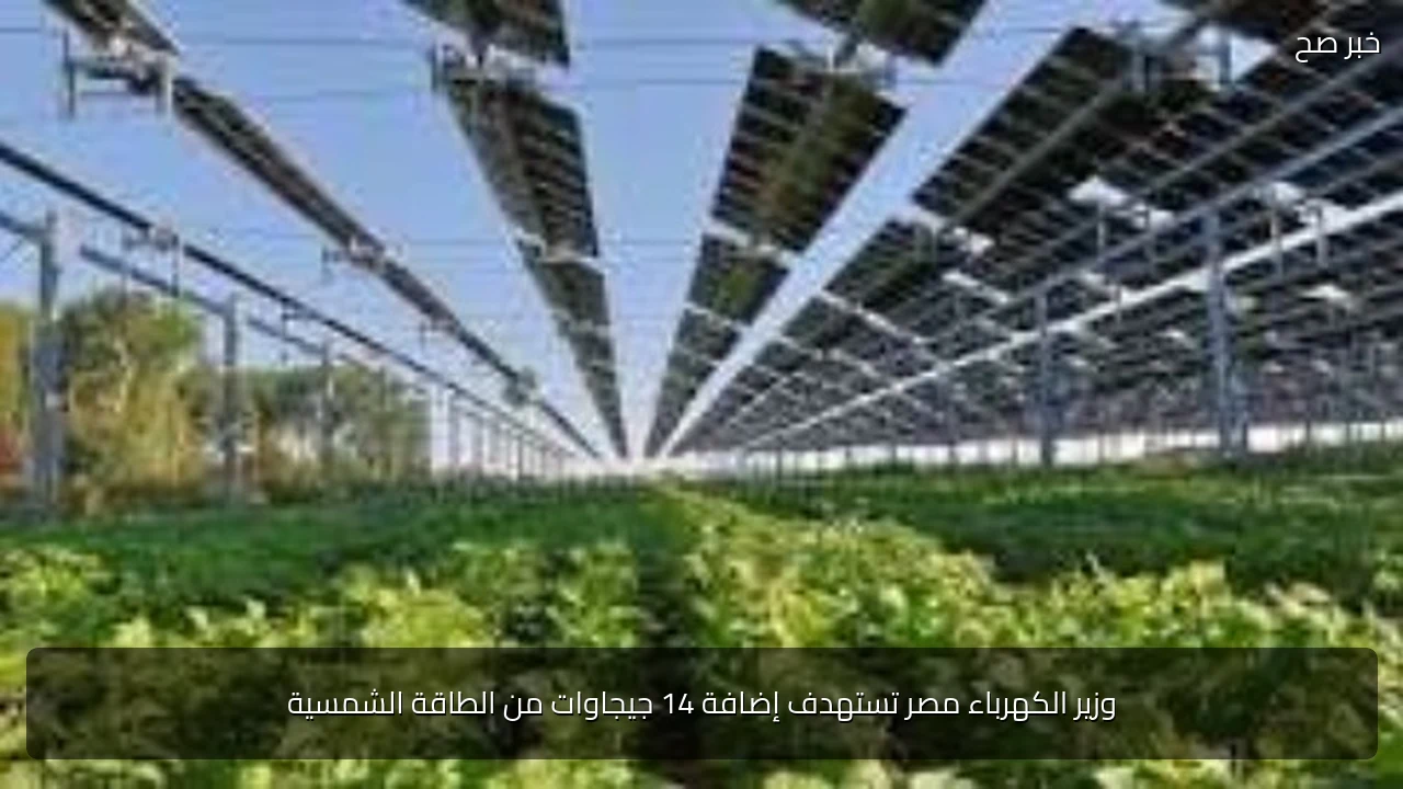 وزير الكهرباء مصر تستهدف إضافة 14 جيجاوات من الطاقة الشمسية