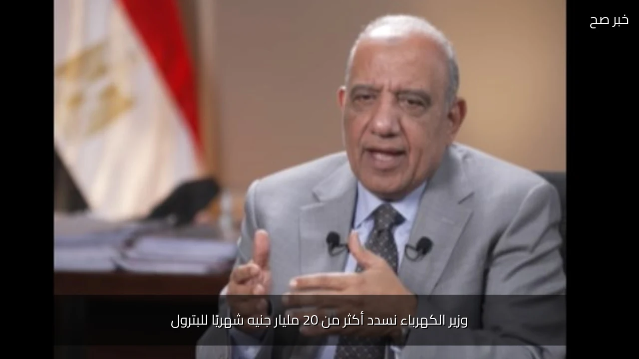 وزير الكهرباء نسدد أكثر من 20 مليار جنيه شهريًا للبترول