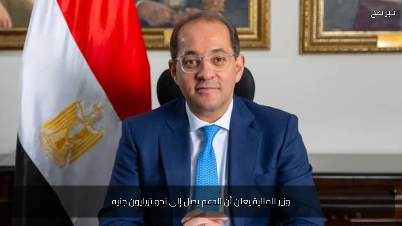 وزير المالية يعلن أن الدعم يصل إلى نحو تريليون جنيه