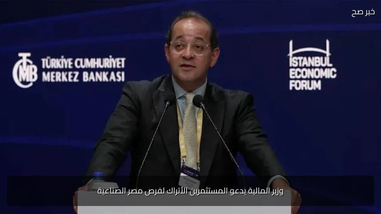 وزير المالية يدعو المستثمرين الأتراك لفرص مصر الصناعية