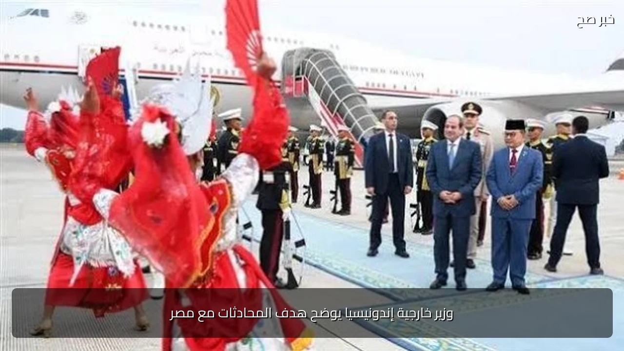 وزير خارجية إندونيسيا يوضح هدف المحادثات مع مصر