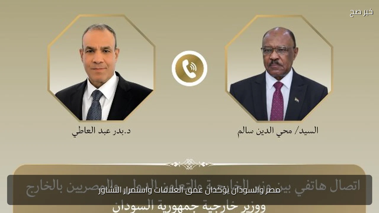 مصر والسودان يؤكدان عمق العلاقات واستمرار التشاور