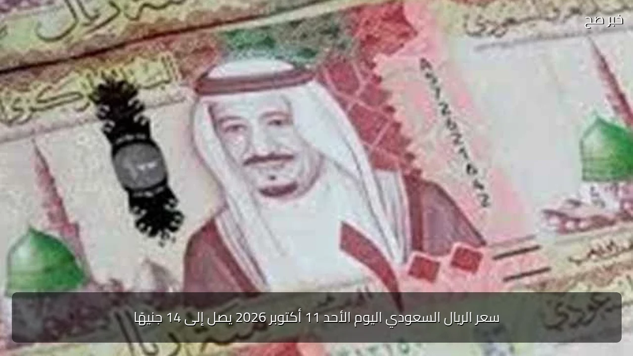 سعر الريال السعودي اليوم الأحد 11 أكتوبر 2026 يصل إلى 14 جنيهًا