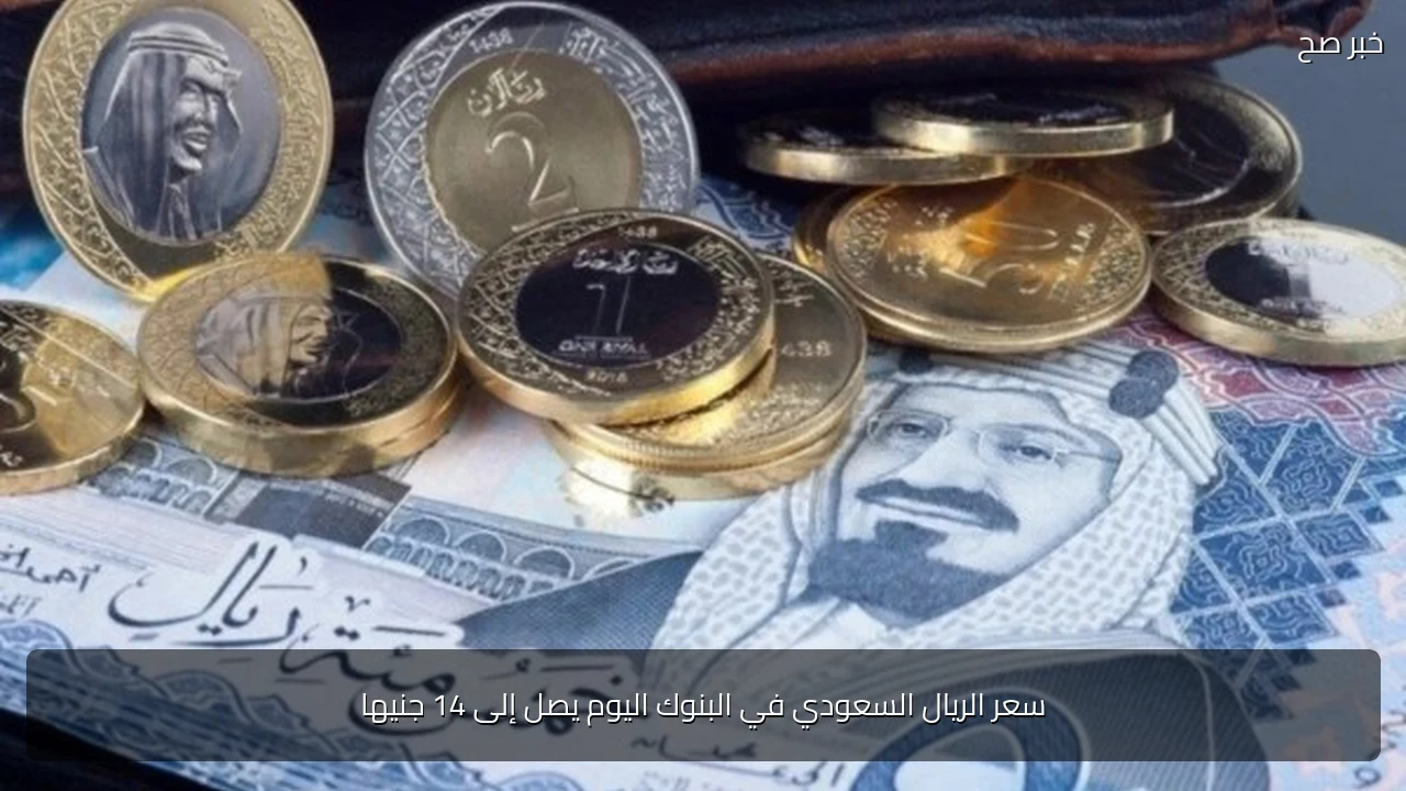 سعر الريال السعودي في البنوك اليوم يصل إلى 14 جنيها
