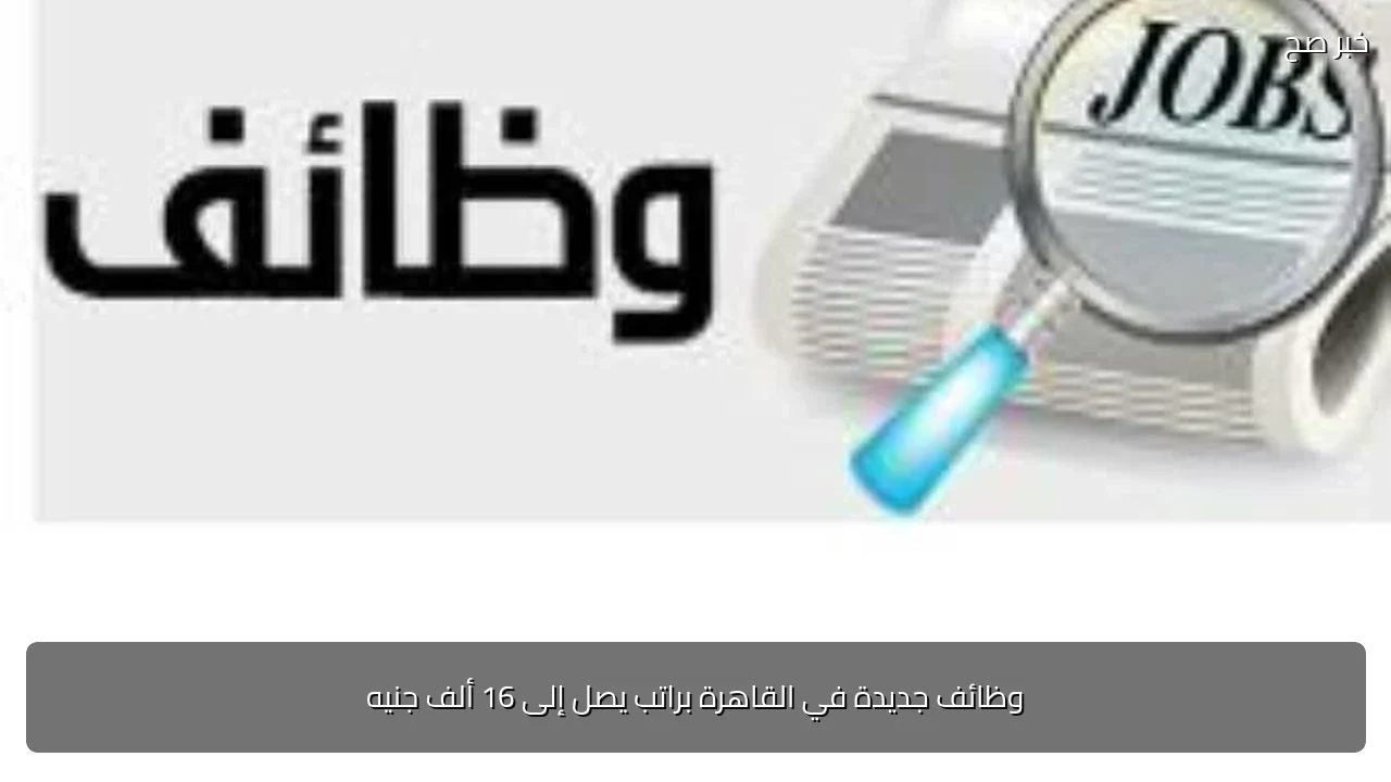 وظائف جديدة في القاهرة براتب يصل إلى 16 ألف جنيه