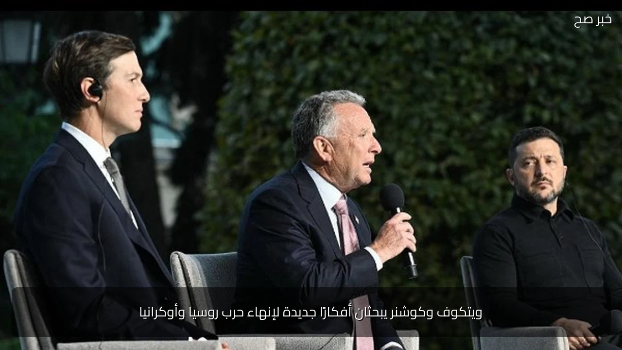 ويتكوف وكوشنر يبحثان أفكارًا جديدة لإنهاء حرب روسيا وأوكرانيا