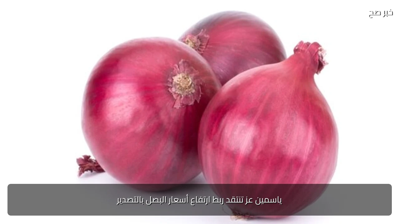 ياسمين عز تنتقد ربط ارتفاع أسعار البصل بالتصدير
