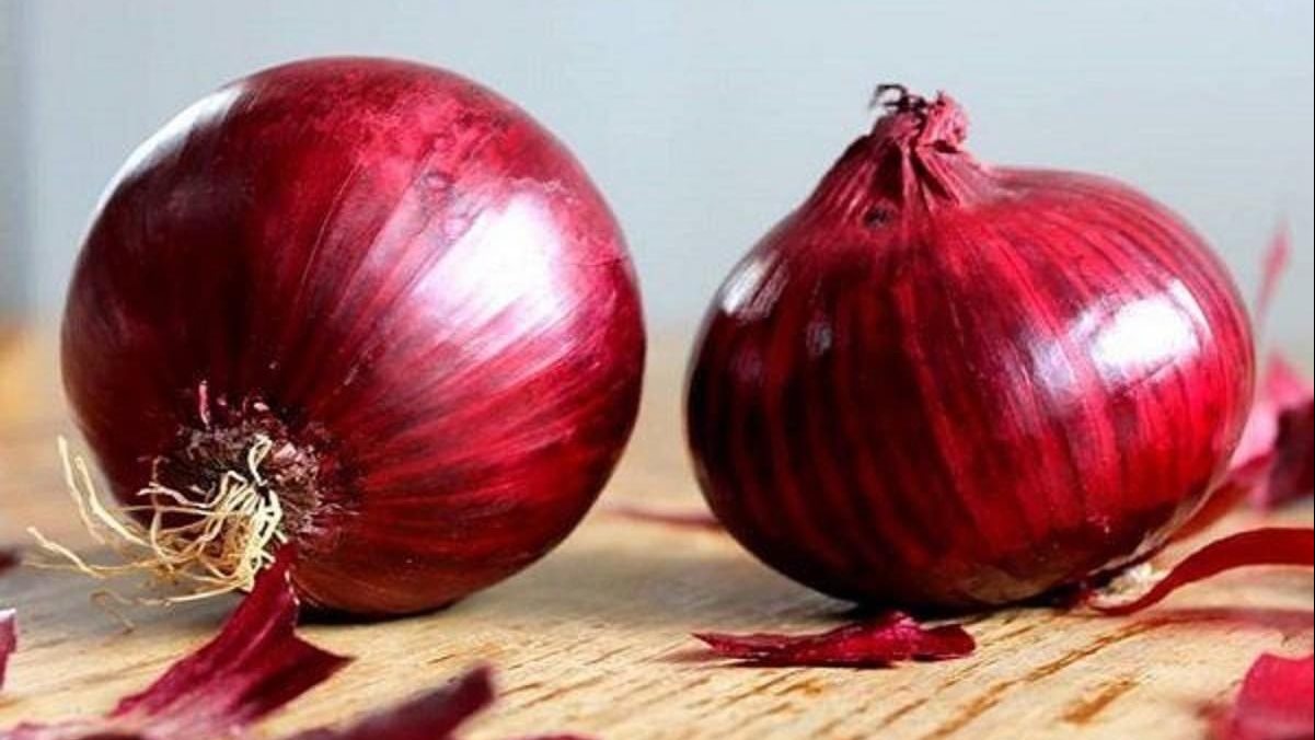 ياسمين عز تنتقد ربط ارتفاع أسعار البصل بالتصدير البصل الأحمر