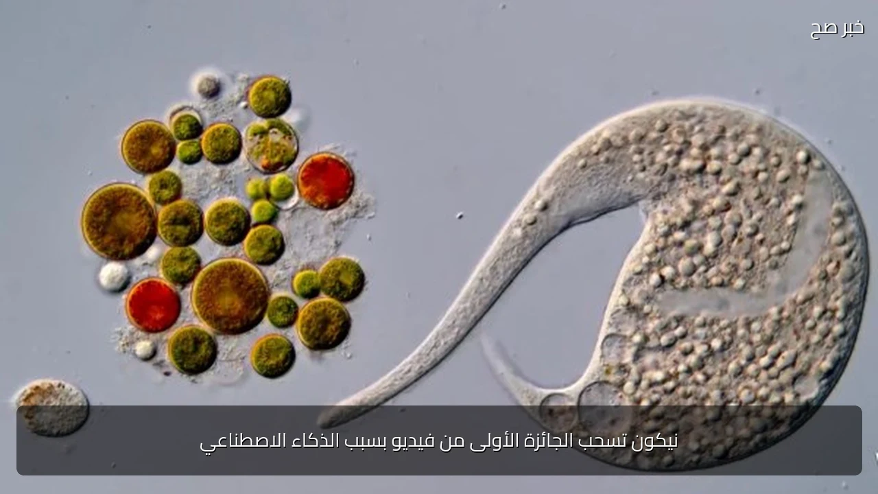 نيكون تسحب الجائزة الأولى من فيديو بسبب الذكاء الاصطناعي