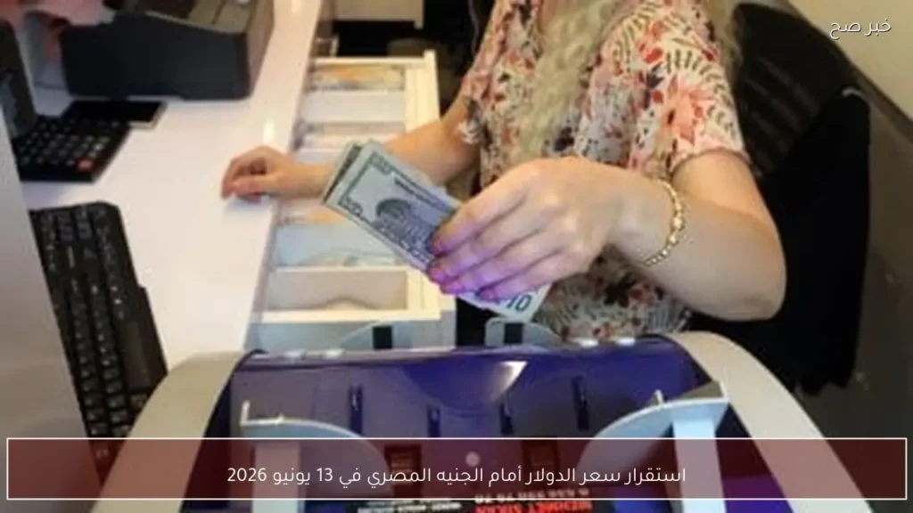 استقرار سعر الدولار أمام الجنيه المصري في 13 يونيو 2026