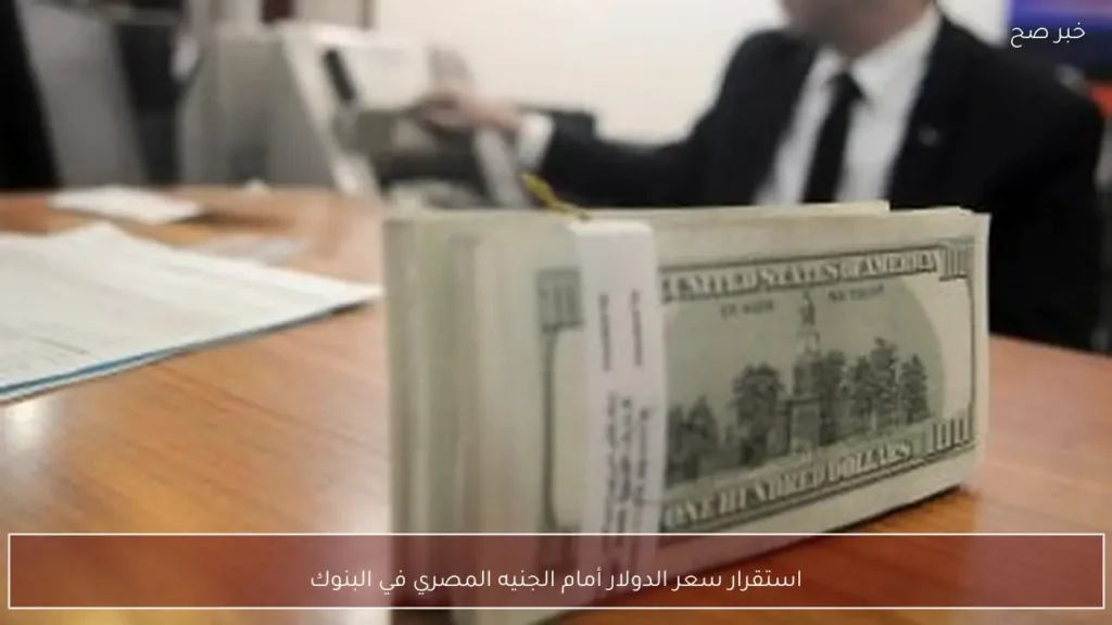 استقرار سعر الدولار أمام الجنيه المصري في البنوك