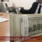 استقرار سعر الدولار أمام الجنيه المصري في البنوك