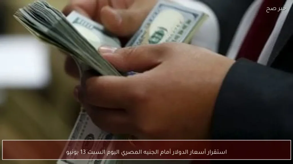 استقرار أسعار الدولار أمام الجنيه المصري اليوم السبت 13 يونيو