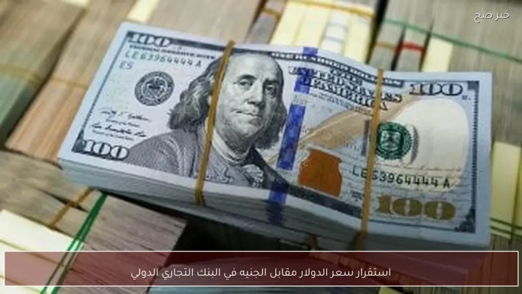 استقرار سعر الدولار مقابل الجنيه في البنك التجاري الدولي