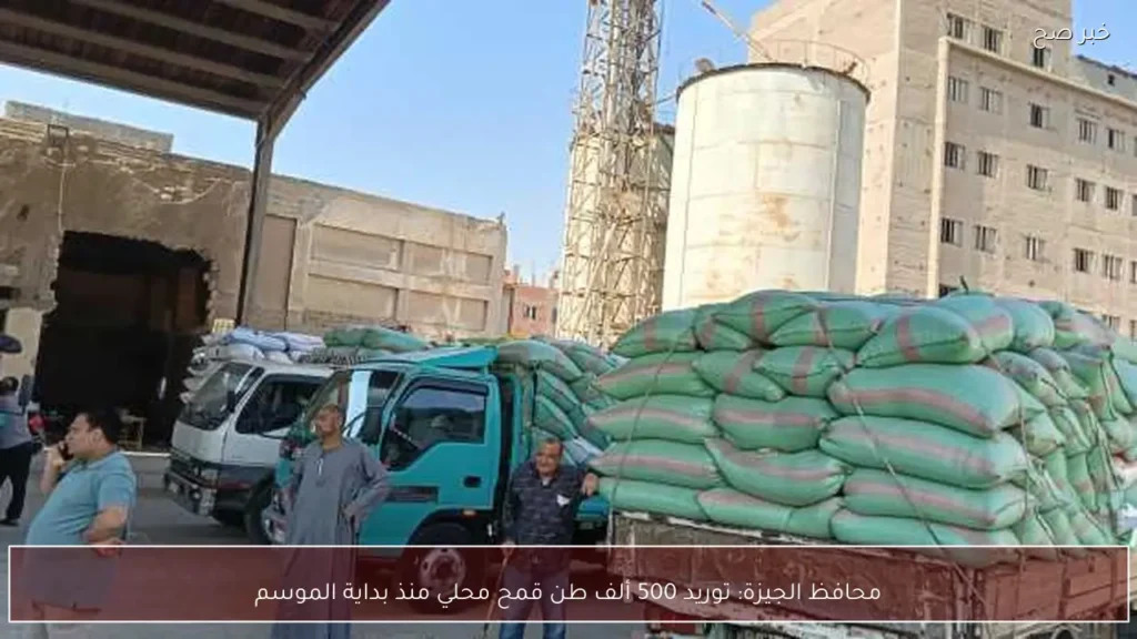 محافظ الجيزة: توريد 500 ألف طن قمح محلي منذ بداية الموسم