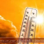 الأرصاد تحذر من رياح محملة بالأتربة تؤثر على الرؤية في حلايب وشلاتين