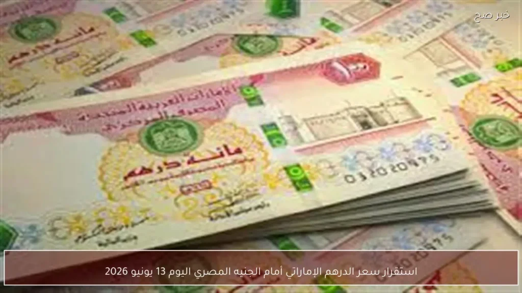 استقرار سعر الدرهم الإماراتي أمام الجنيه المصري اليوم 13 يونيو 2026