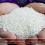 أسعار الأرز والشعير في الشرقية اليوم 16 يونيو 2026