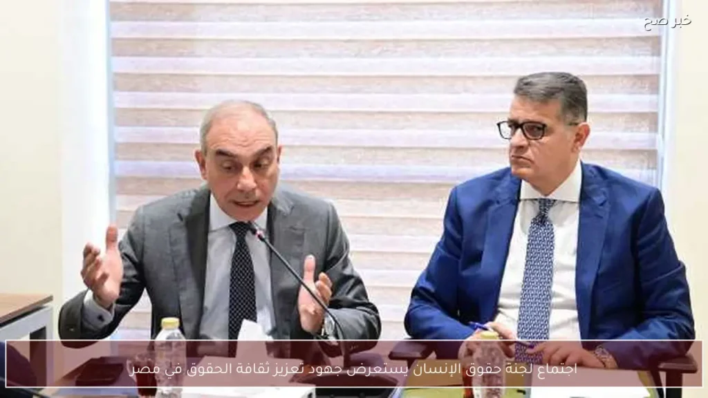 اجتماع لجنة حقوق الإنسان يستعرض جهود تعزيز ثقافة الحقوق في مصر